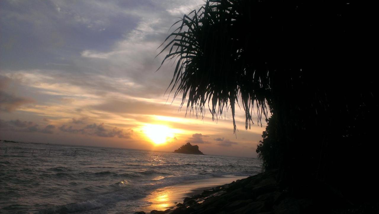 Hotel Sundance Surf Coconut Point Weligama Zewnętrze zdjęcie